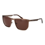 Brown / Brown