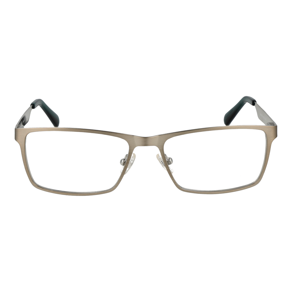 Silver/Demo glasses