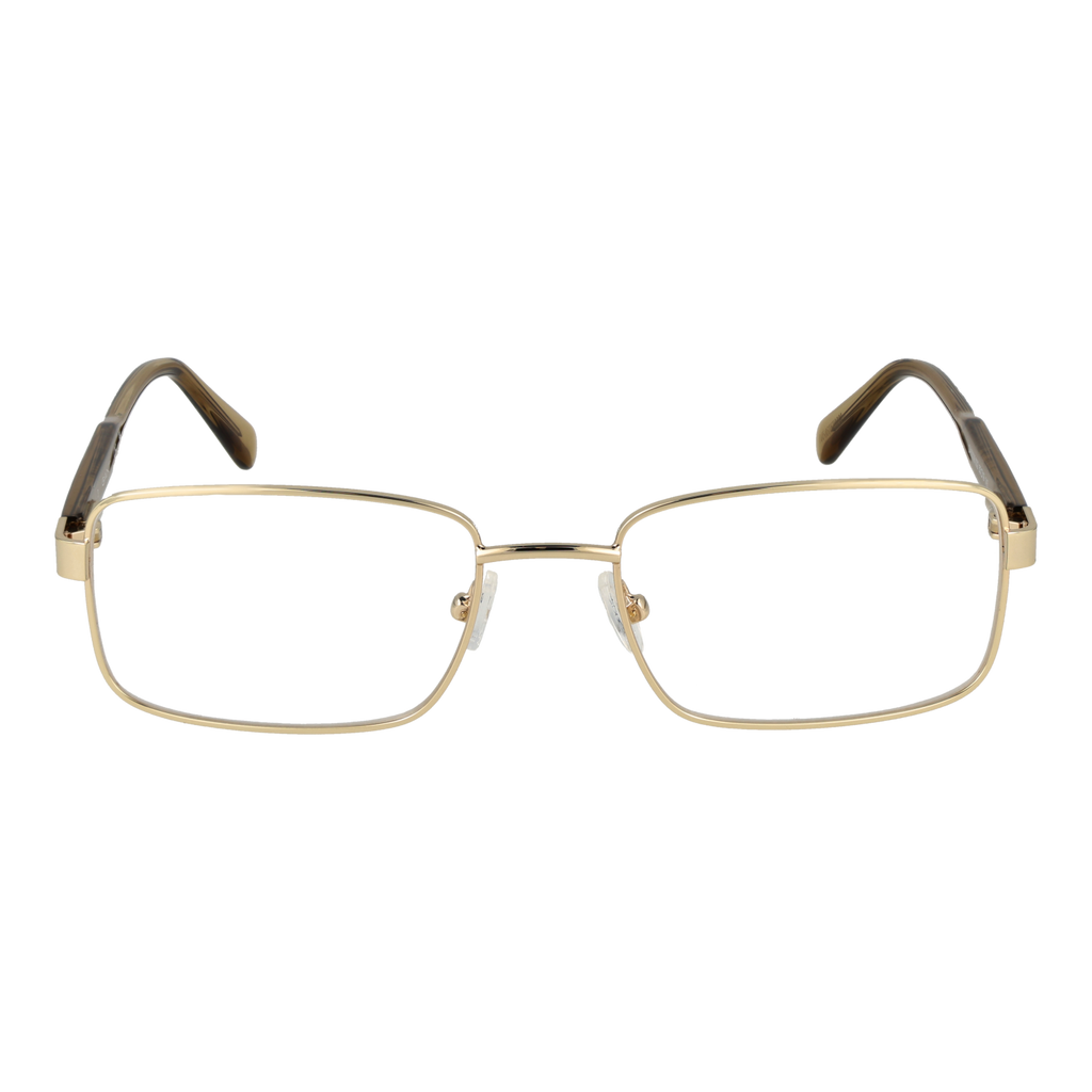Gold/Demo glasses