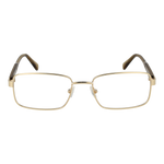 Gold/Demo glasses