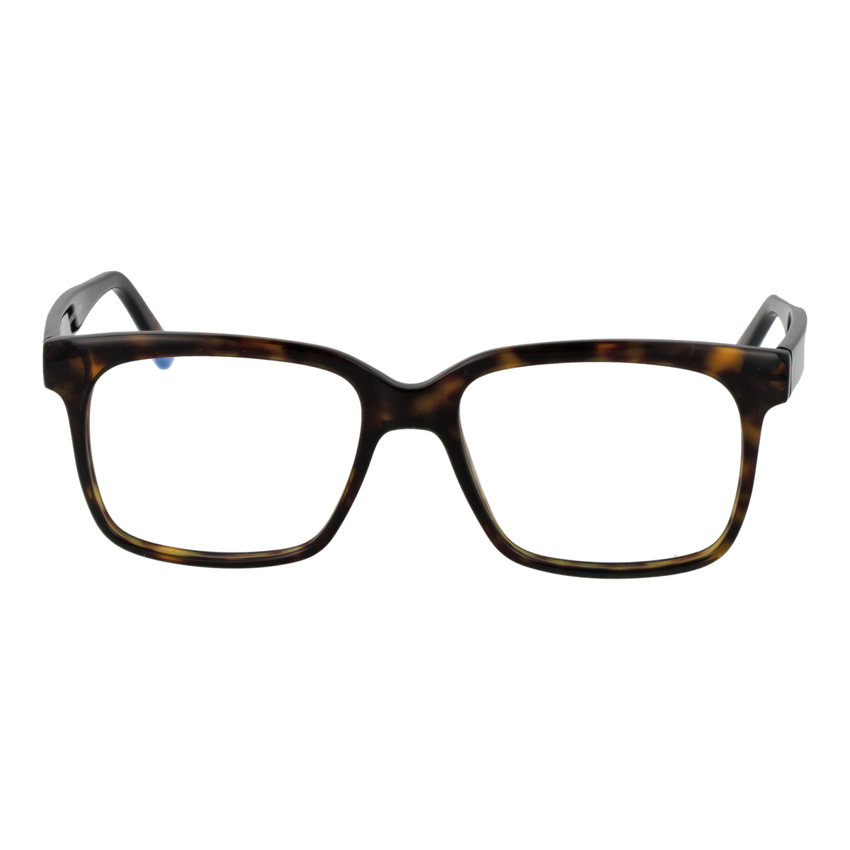 Brown/Demo glasses