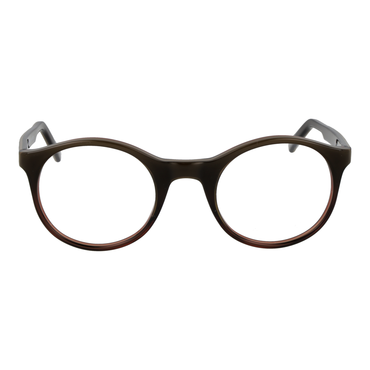 Brown/Demo glasses