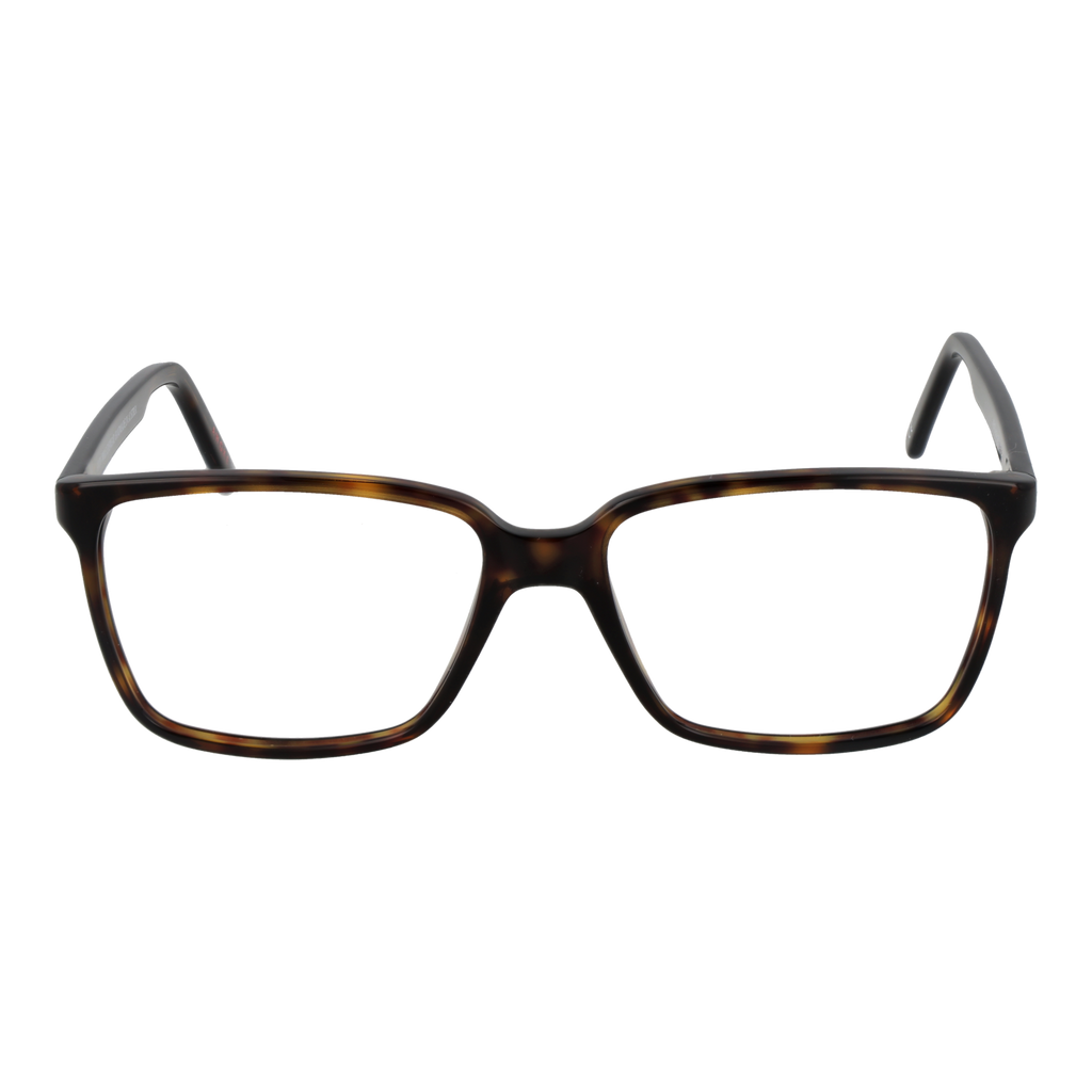 Brown/Demo glasses