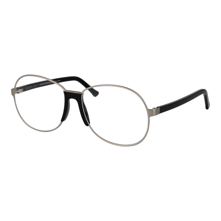 Silver/Demo glasses