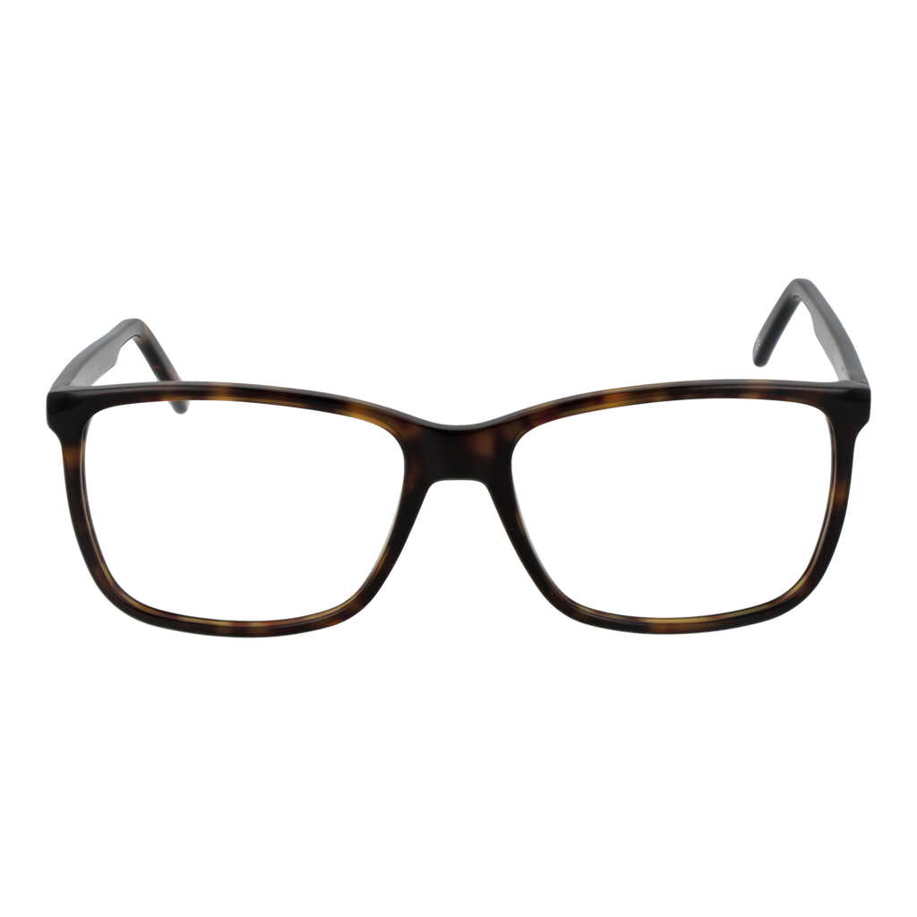Brown/Demo glasses