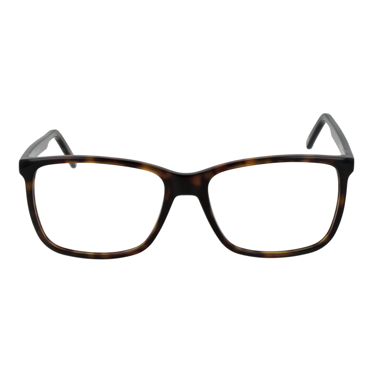 Brown/Demo glasses