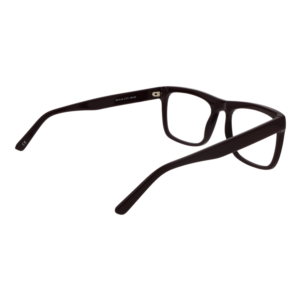 Brown/Demo glasses