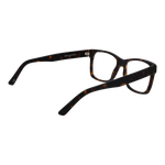 Brown/Demo glasses