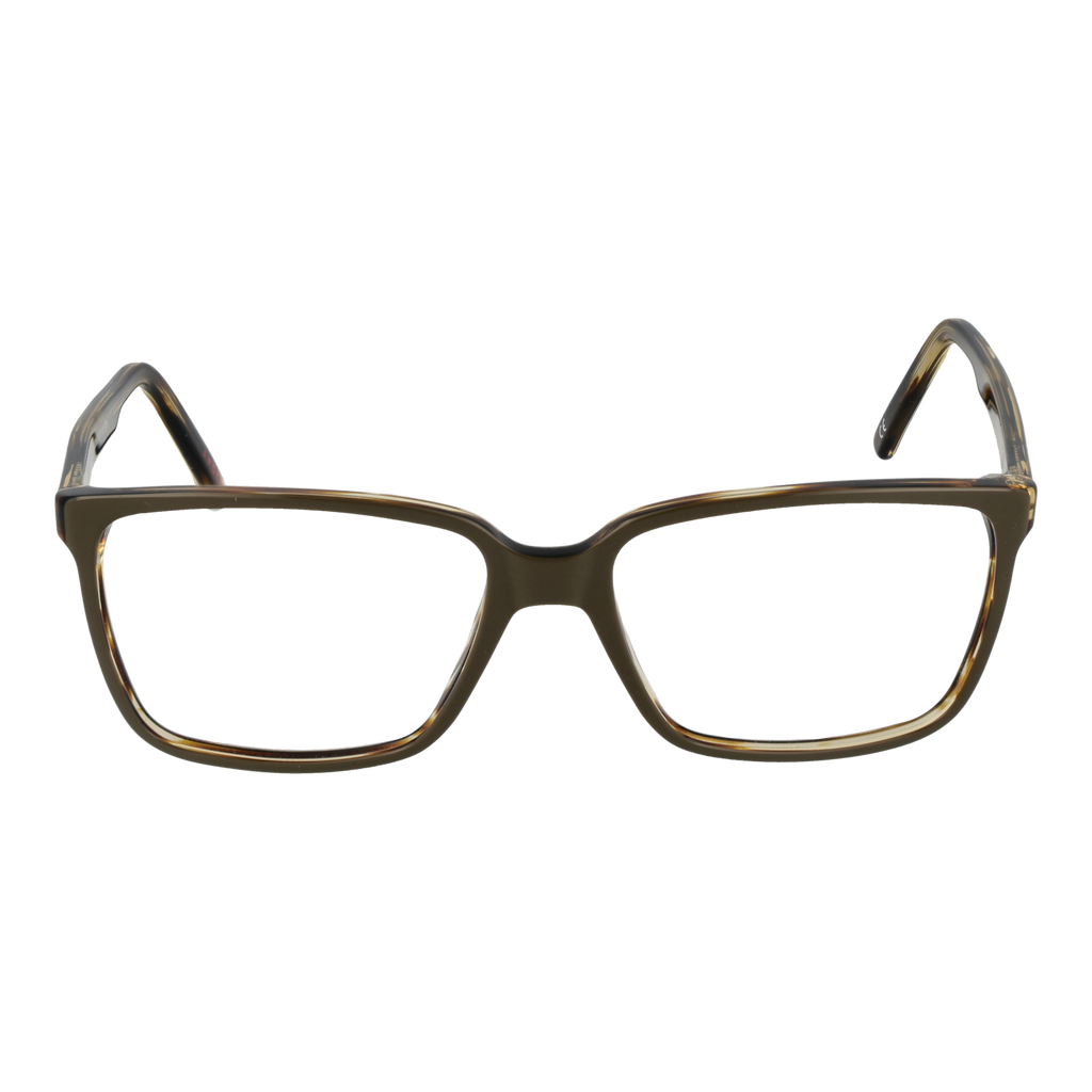 Brown/Demo glasses
