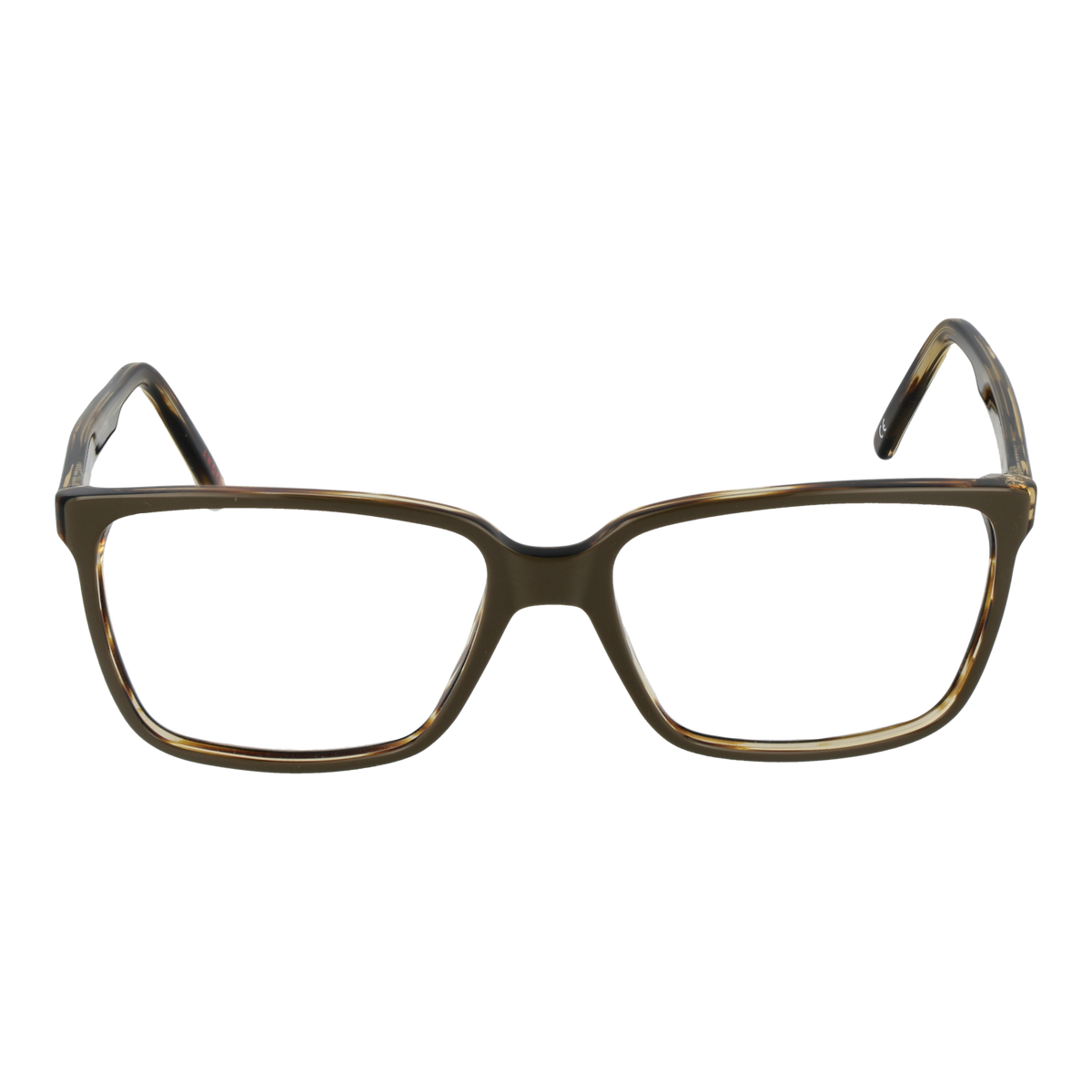 Brown/Demo glasses