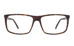 Brown / 25008551 / Clear
