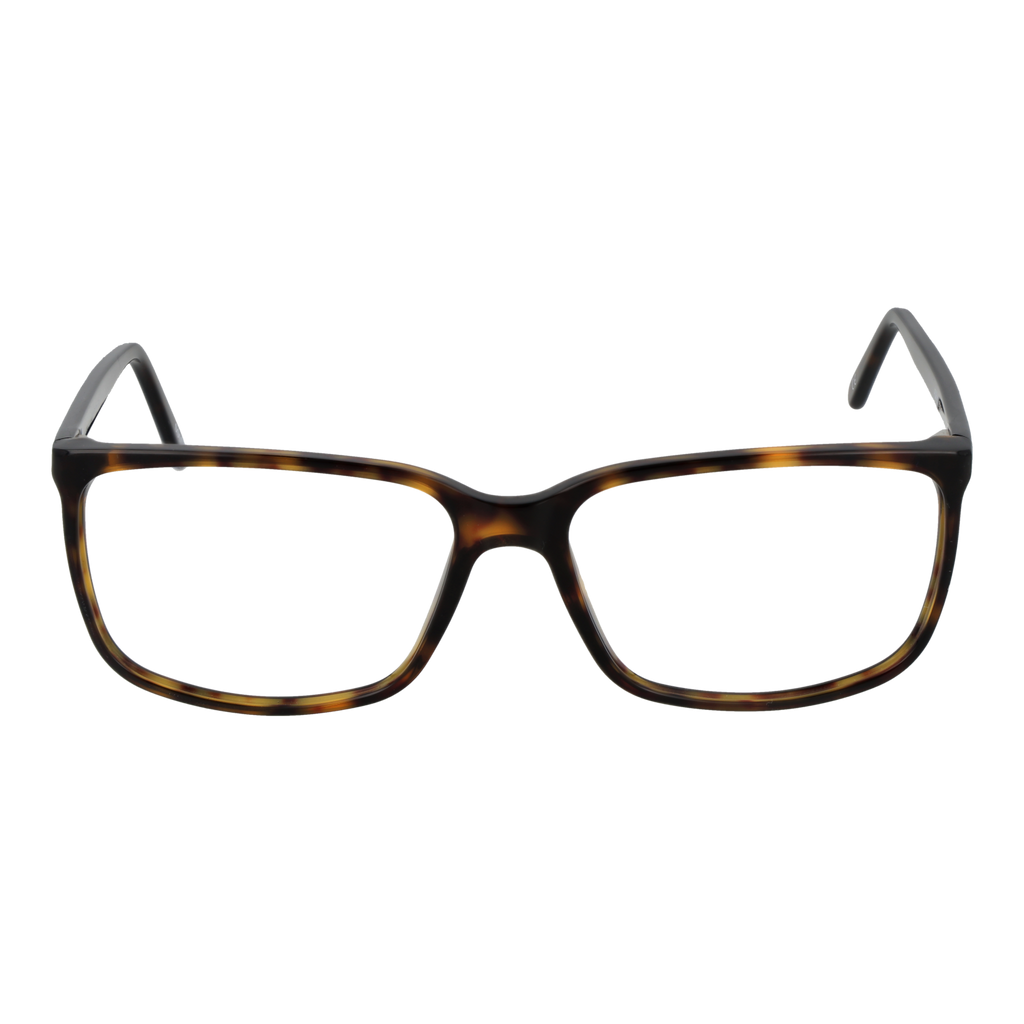 Brown/Demo glasses