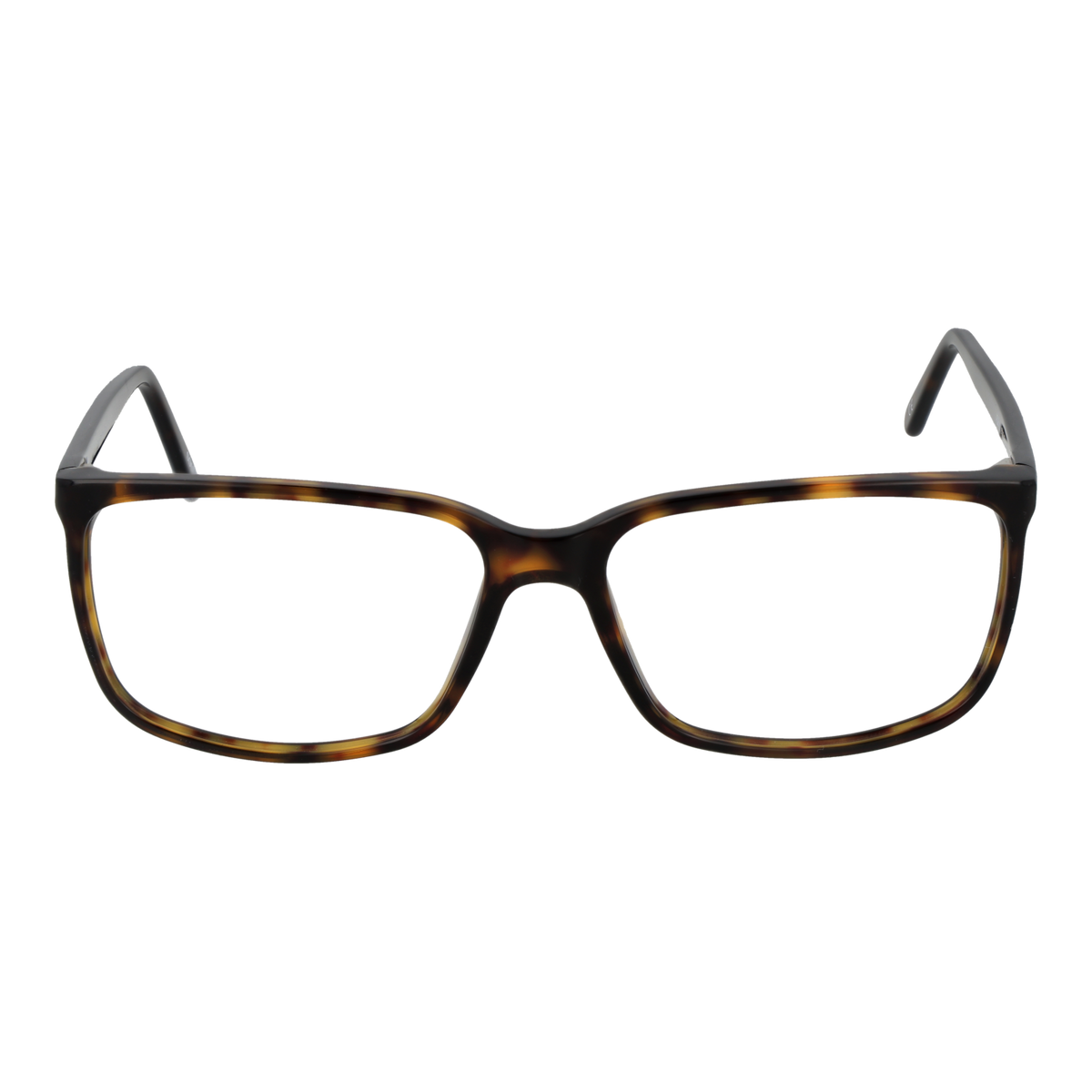 Brown/Demo glasses