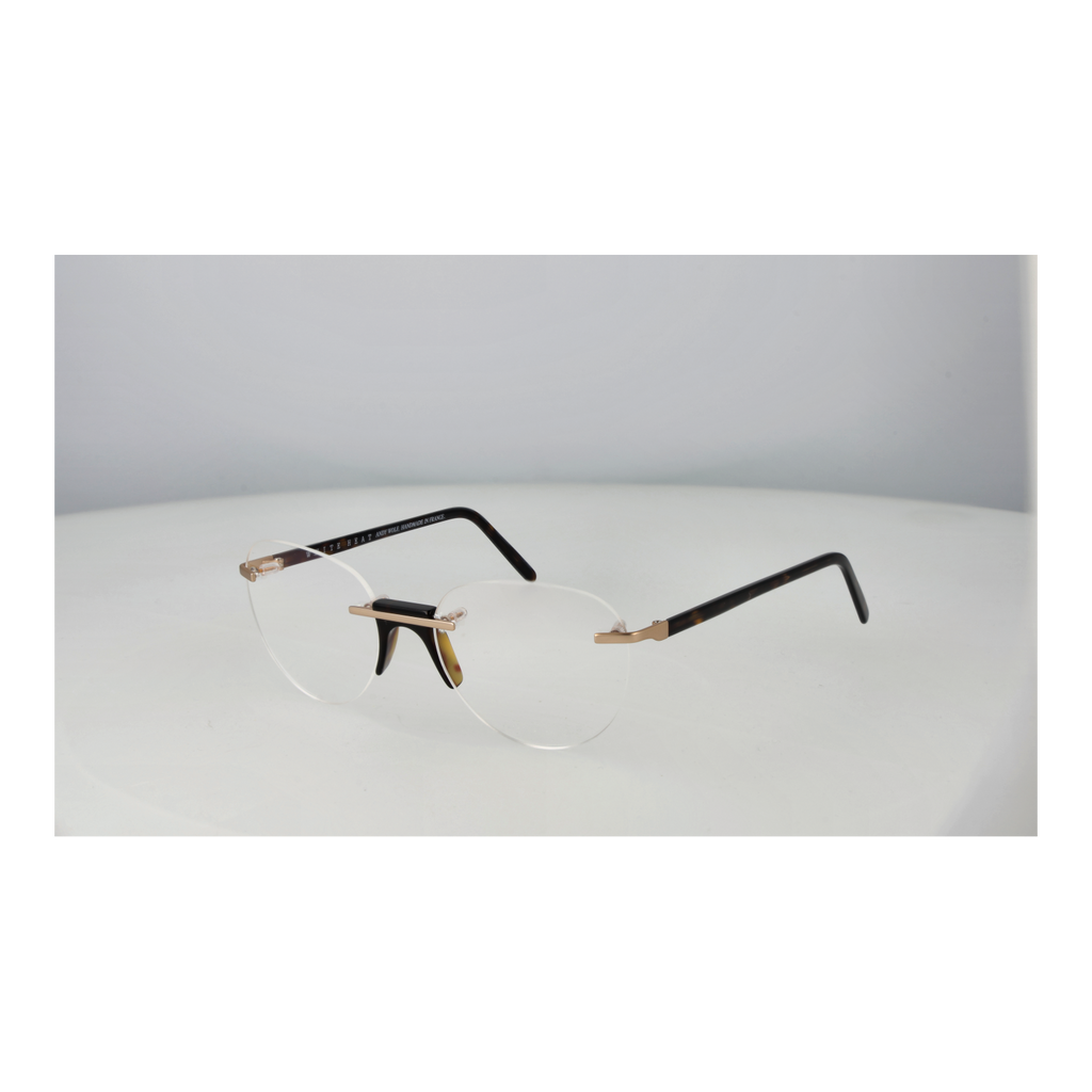 Transparent/Demo glasses