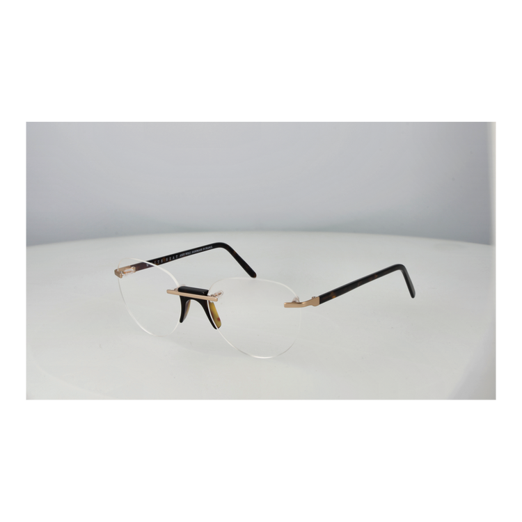 Transparent/Demo glasses
