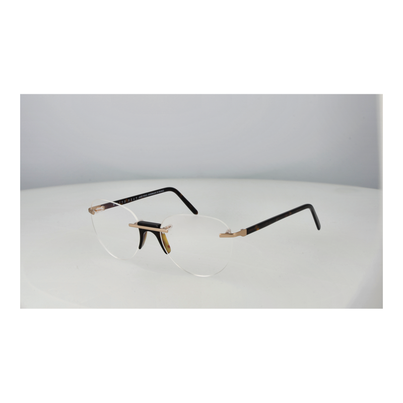 Transparent/Demo glasses