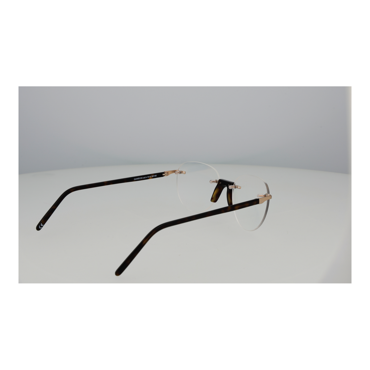 Transparent/Demo glasses