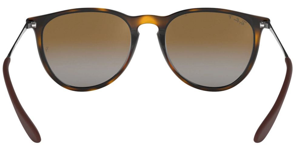 Ray-Ban RB4171 Polarized Round Sunglasses
