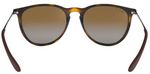 Ray-Ban RB4171 Polarized Round Sunglasses