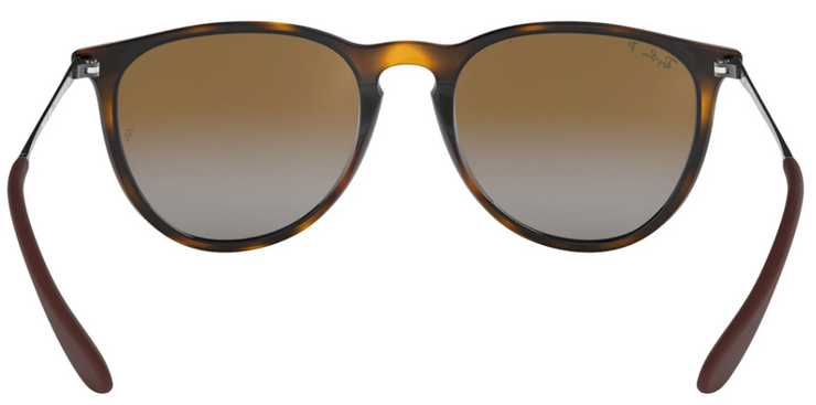 Ray-Ban RB4171 Polarized Round Sunglasses