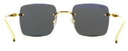 Cartier CT0403S 002 Square Sunglasses