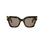 52E - Acetate Shiny Dark Havana / Brown