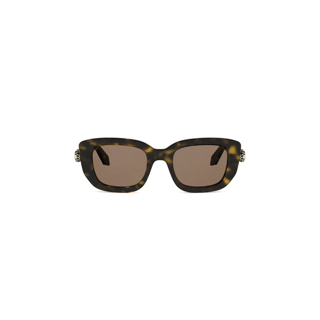 52E - Acetate Shiny Havana with Brown Normal lenses