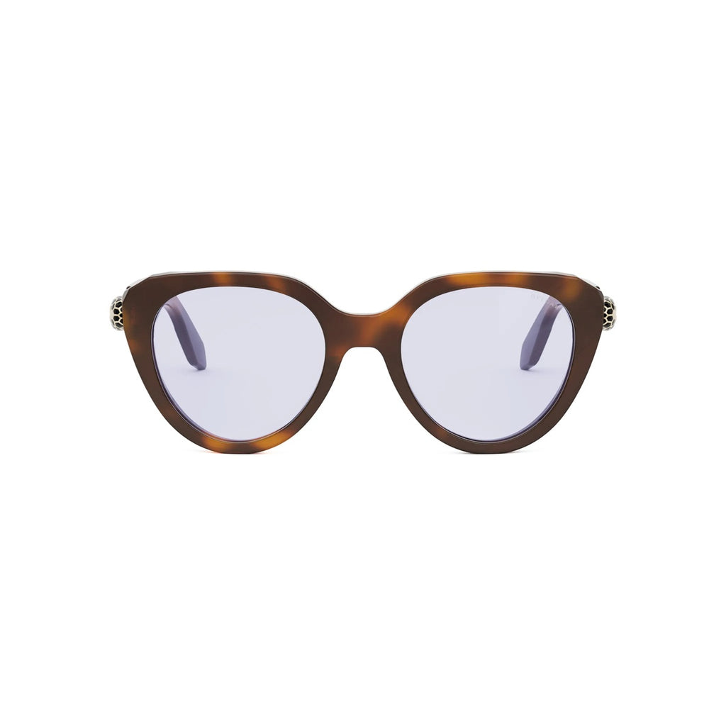 053 - Acetate Shiny Havana