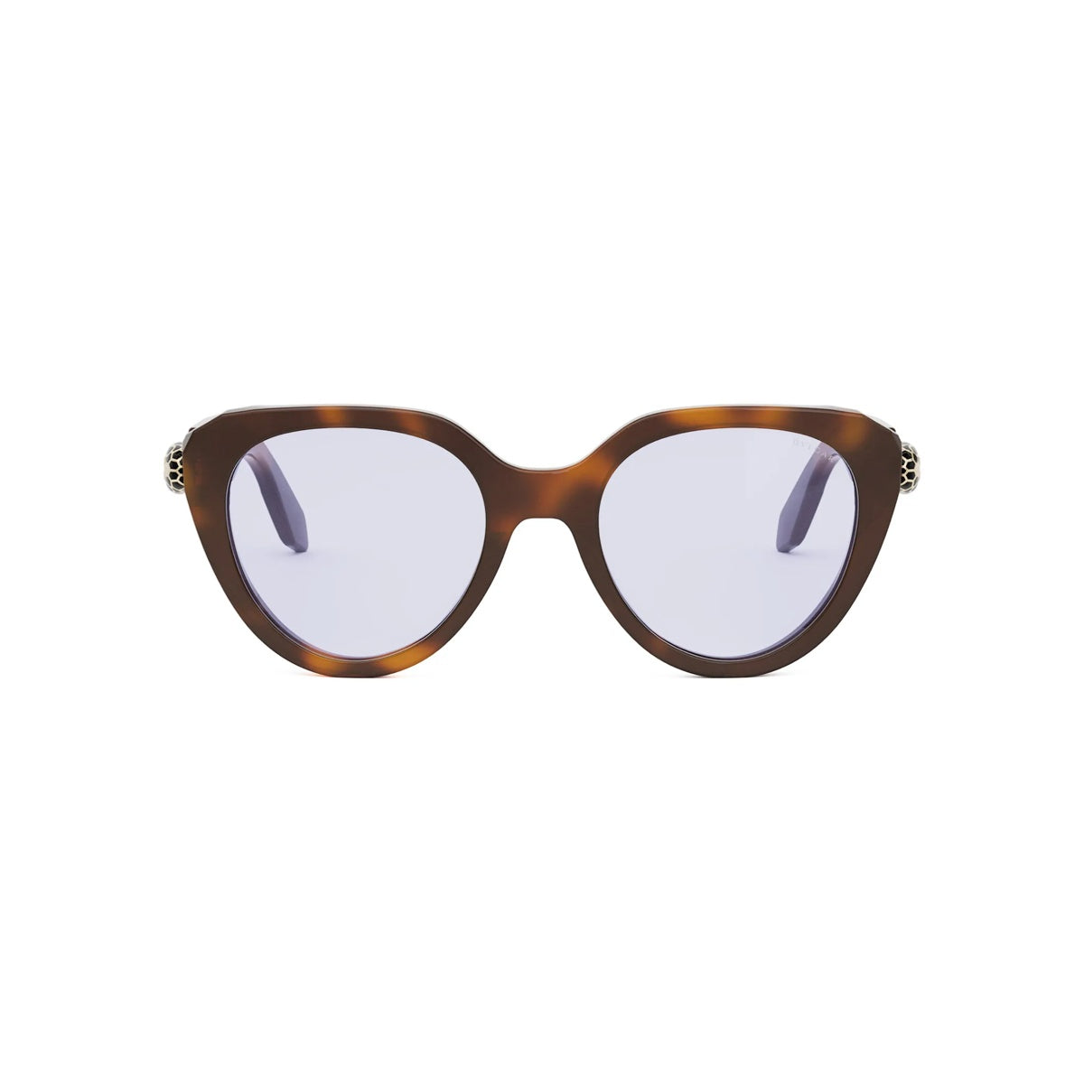 053 - Acetate Shiny Havana