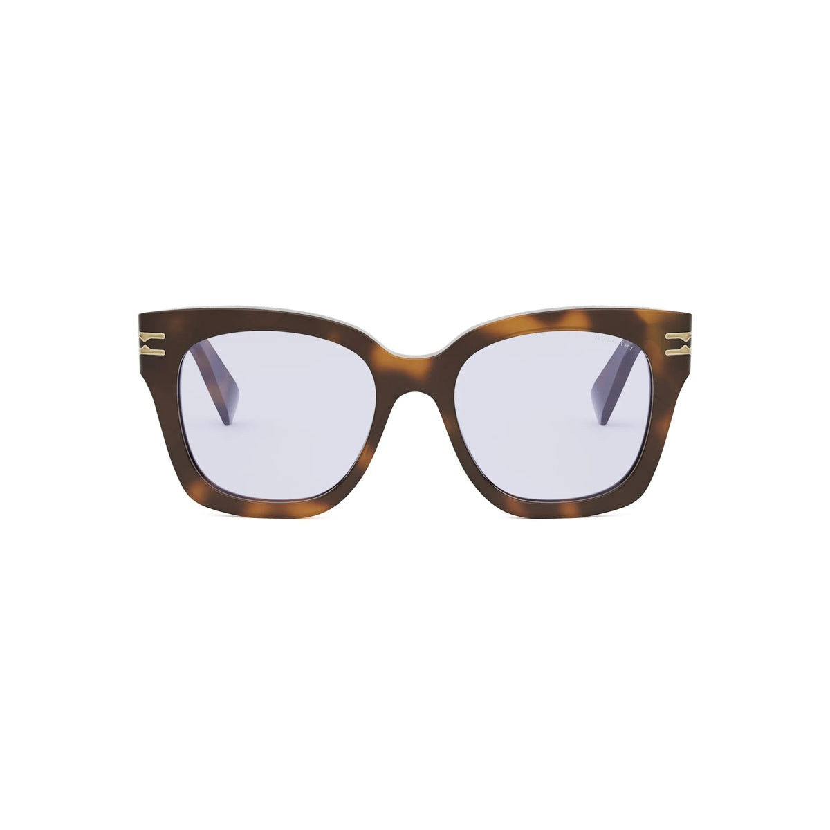 053 - Acetate Shiny Havana