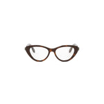 053 - Acetate Shiny Havana