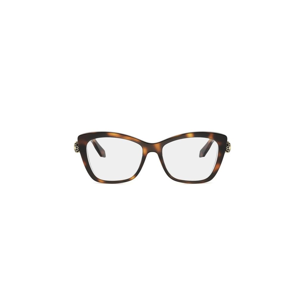 053 - Acetate Shiny Havana