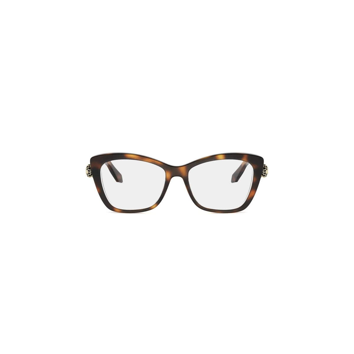 053 - Acetate Shiny Havana