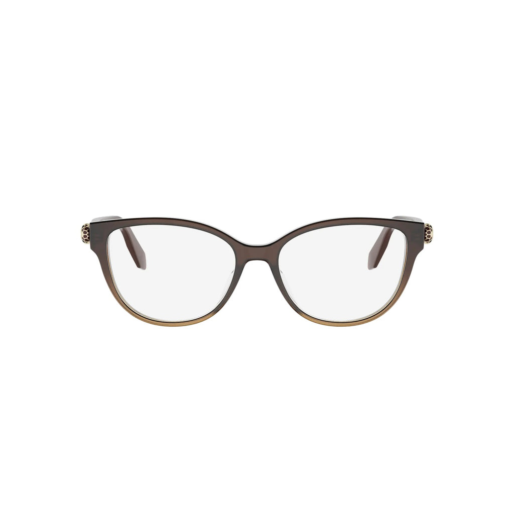 050 - Acetate Shiny Brown