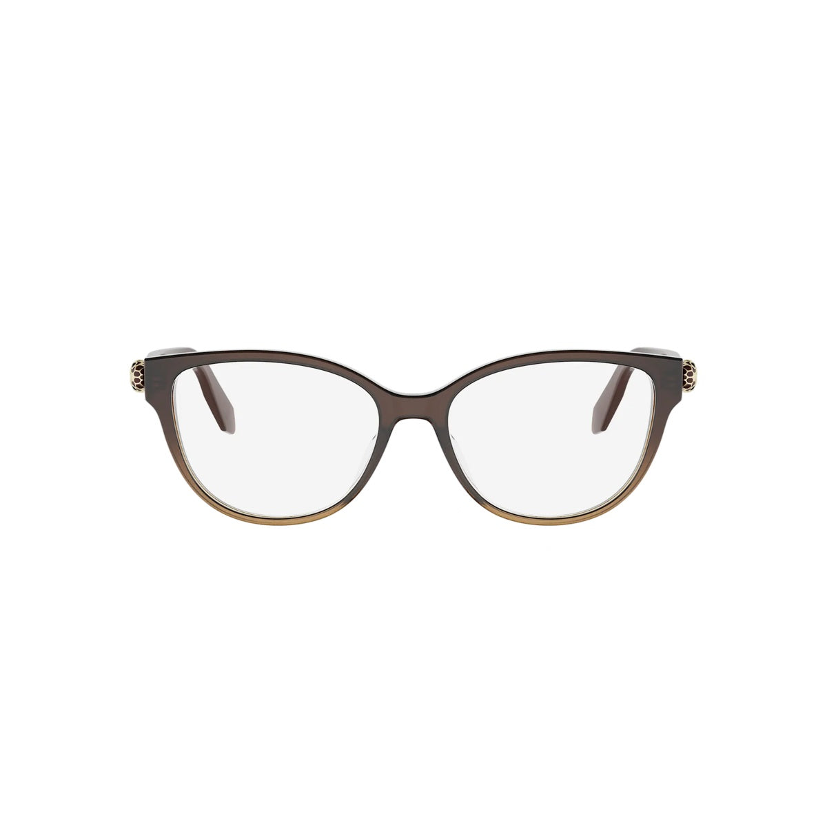 050 - Acetate Shiny Brown