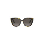 20F1 - Acetate Shiny Havana with Brown Gradient lenses