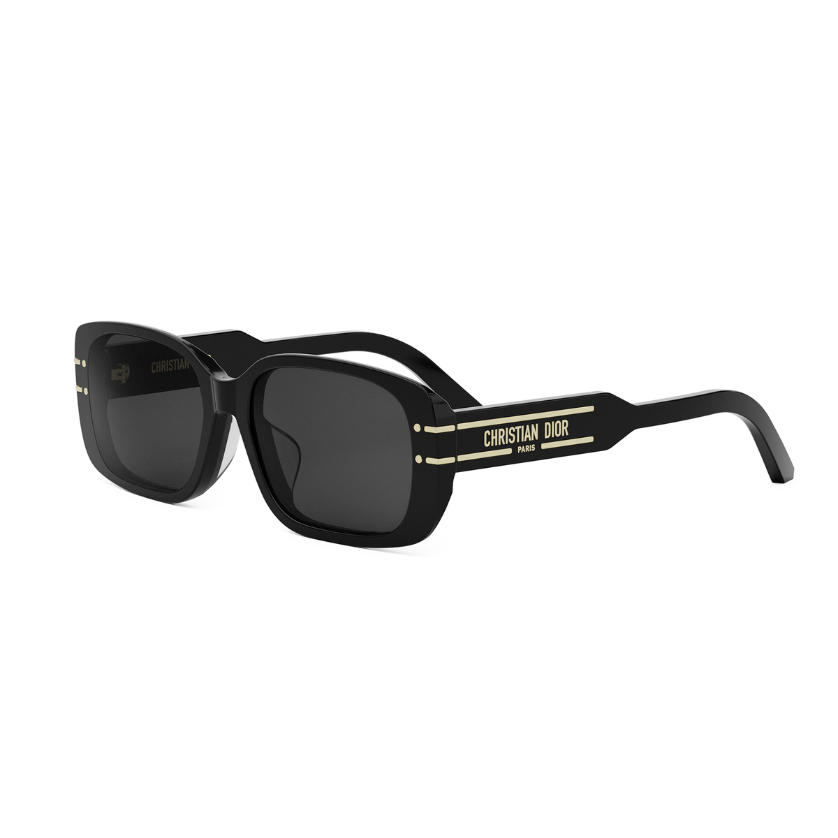 DIOR DIORSIGNATURE S12F (10A0) 01A Rectangular Sunglasses