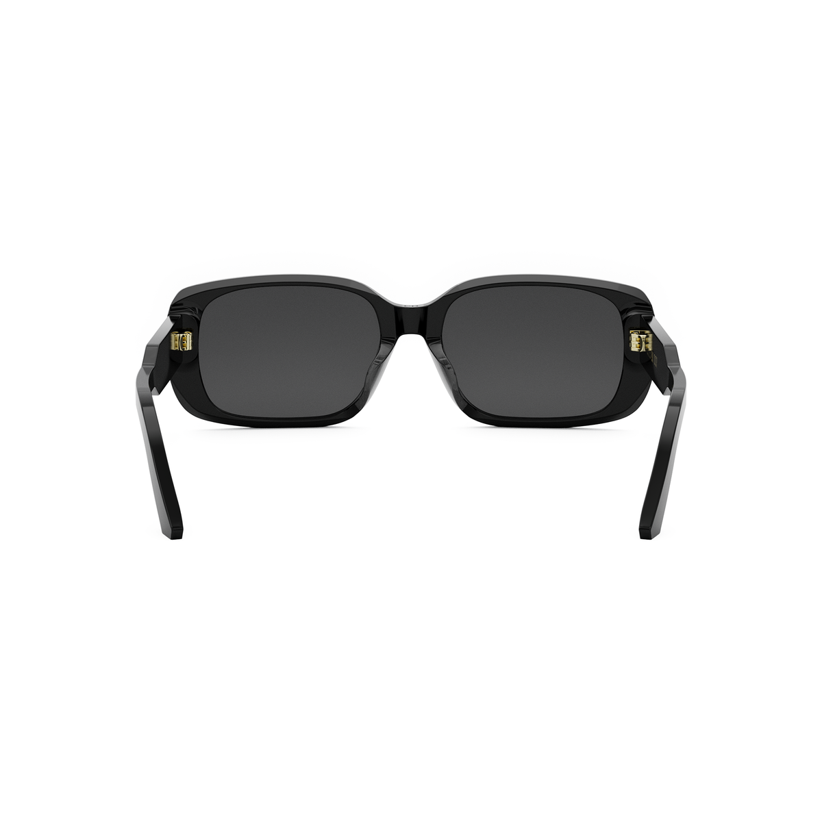 DIOR DIORSIGNATURE S12F (10A0) 01A Rectangular Sunglasses