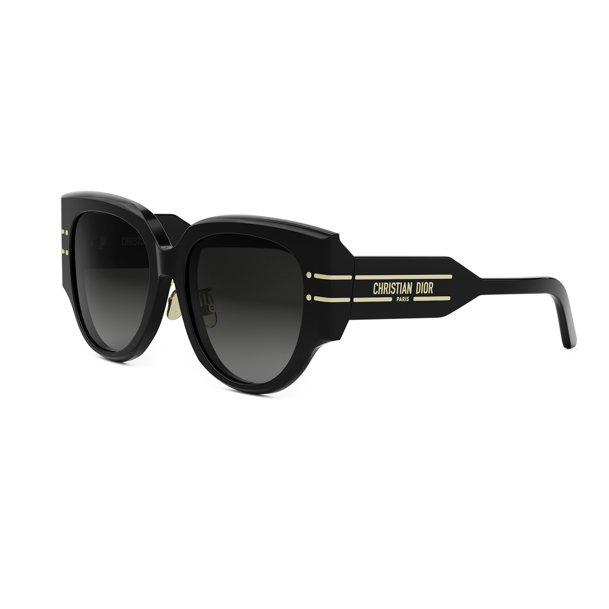 DIOR DIORSIGNATURE R2F (12A1) 01B Butterfly Sunglasses