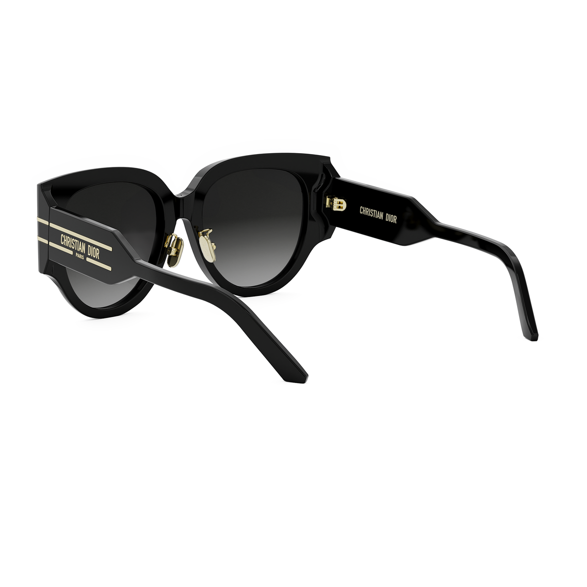 DIOR DIORSIGNATURE R2F (12A1) 01B Butterfly Sunglasses