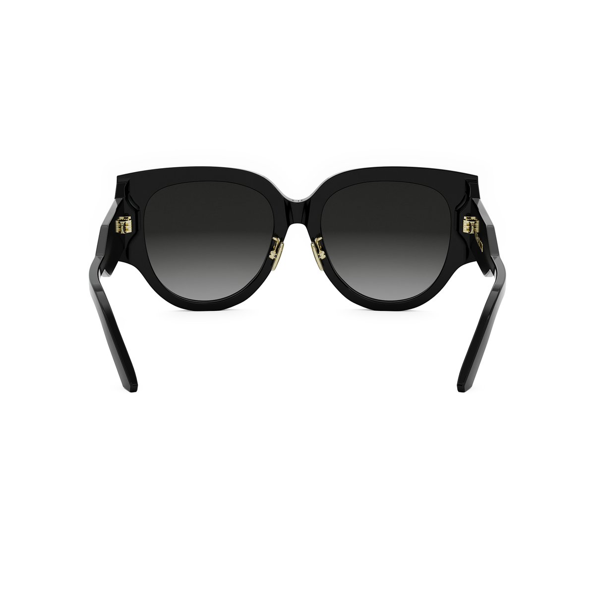 DIOR DIORSIGNATURE R2F (12A1) 01B Butterfly Sunglasses