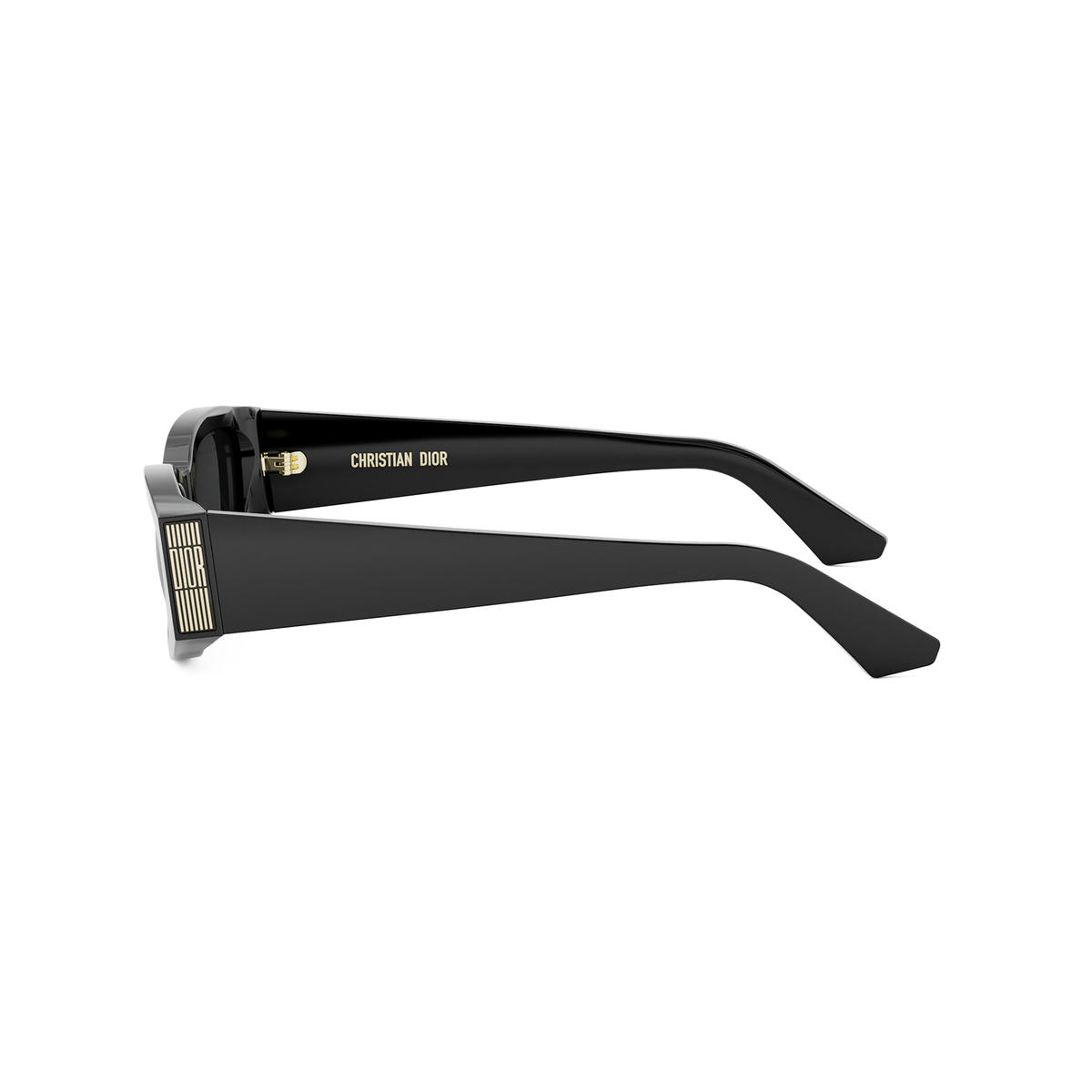 DIOR DIORGRAPHIQUE S1I (10A0) 01A Rectangular Sunglasses