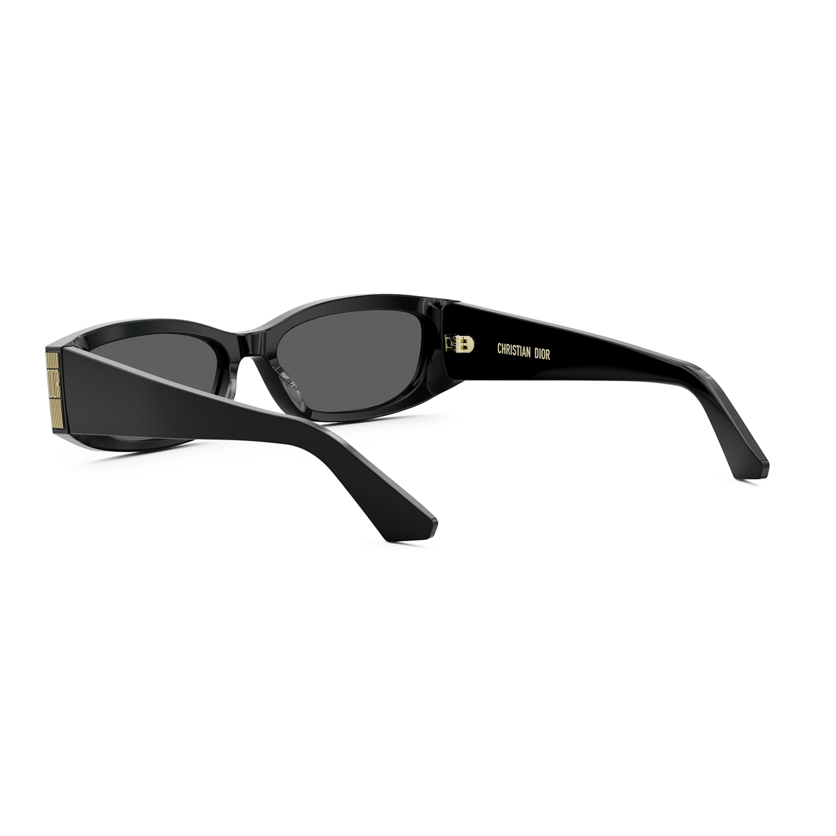 DIOR DIORGRAPHIQUE S1I (10A0) 01A Rectangular Sunglasses