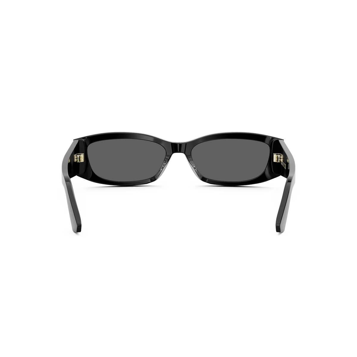 DIOR DIORGRAPHIQUE S1I (10A0) 01A Rectangular Sunglasses