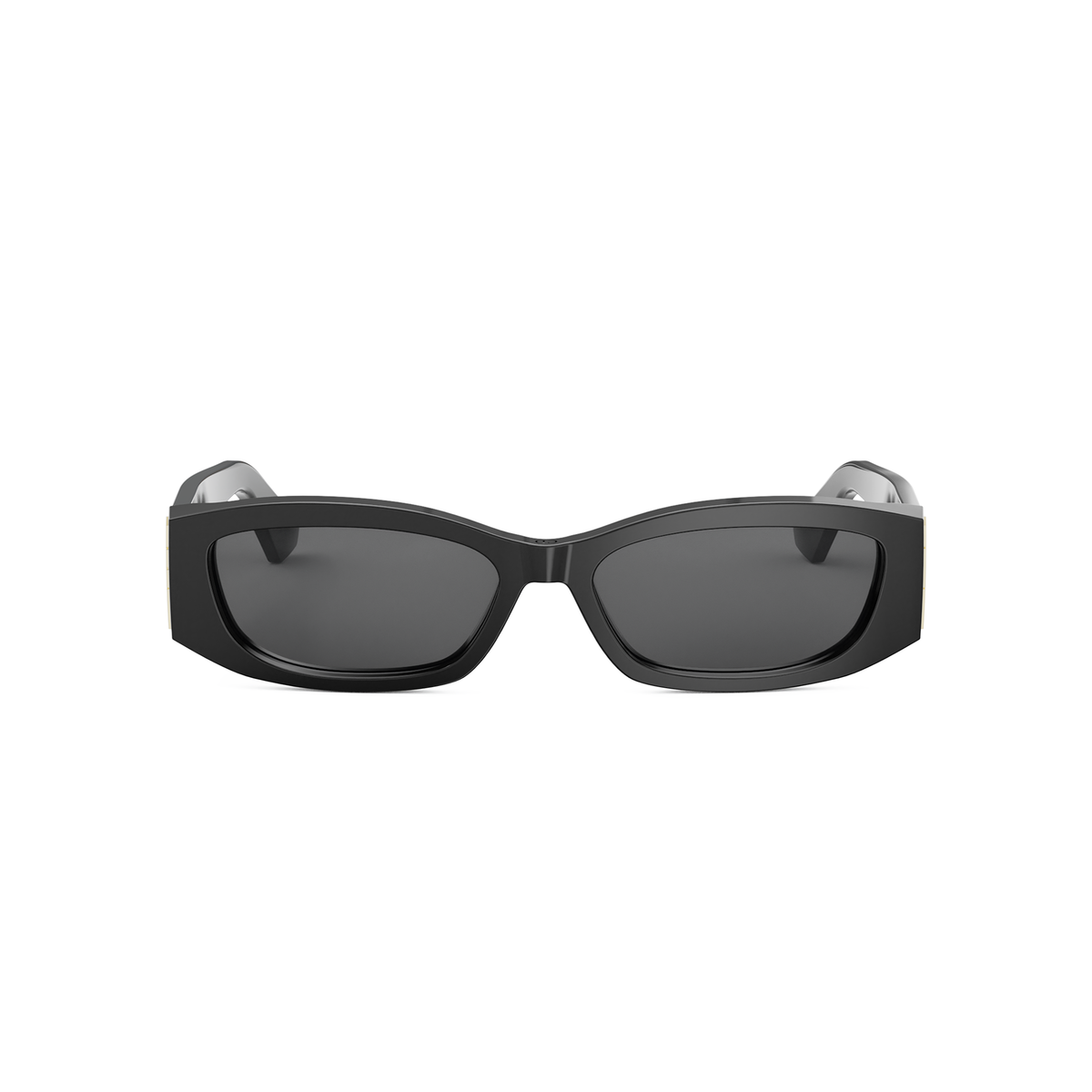 DIOR DIORGRAPHIQUE S1I (10A0) 01A Rectangular Sunglasses