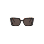 26F0 - Acetate Shiny Havana with Brown Normal lenses