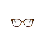 2600 - Acetate Shiny Havana
