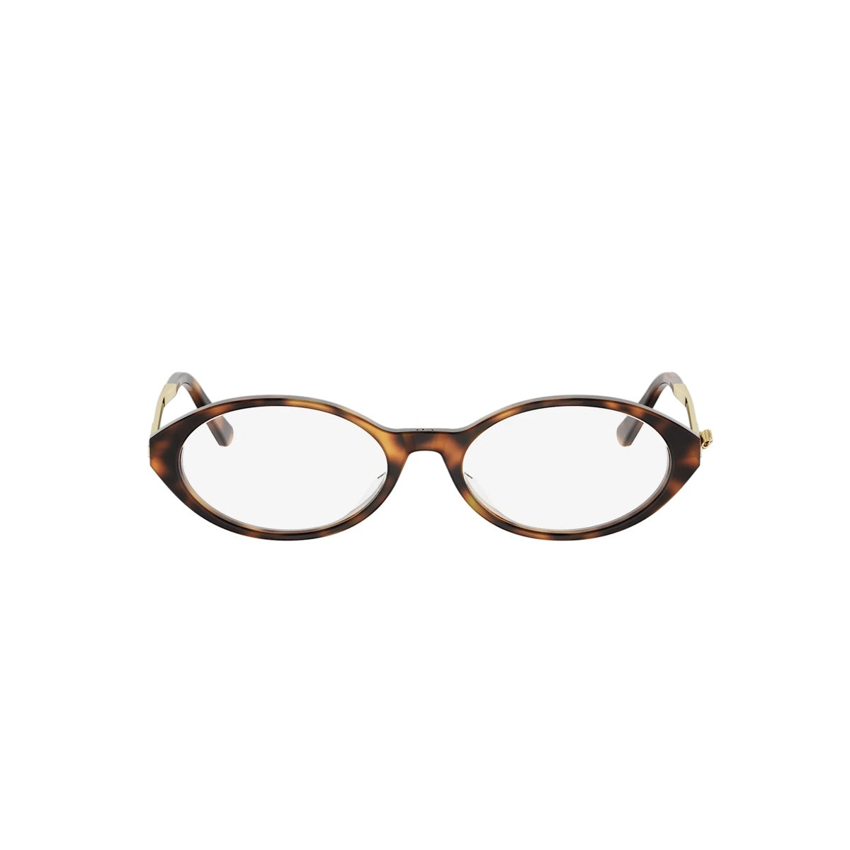 2000 - Acetate Shiny Havana