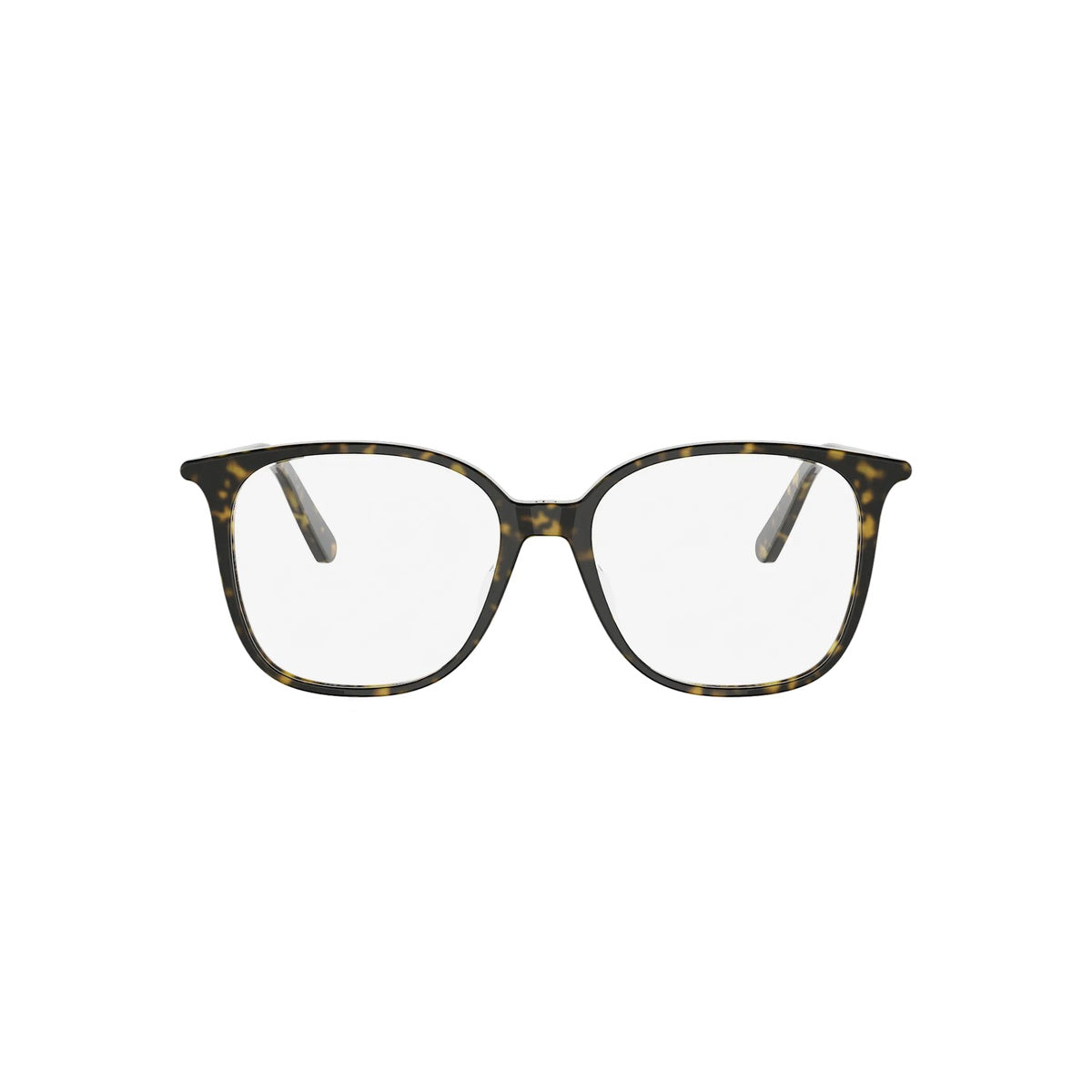 2000 - Acetate Shiny Dark Havana