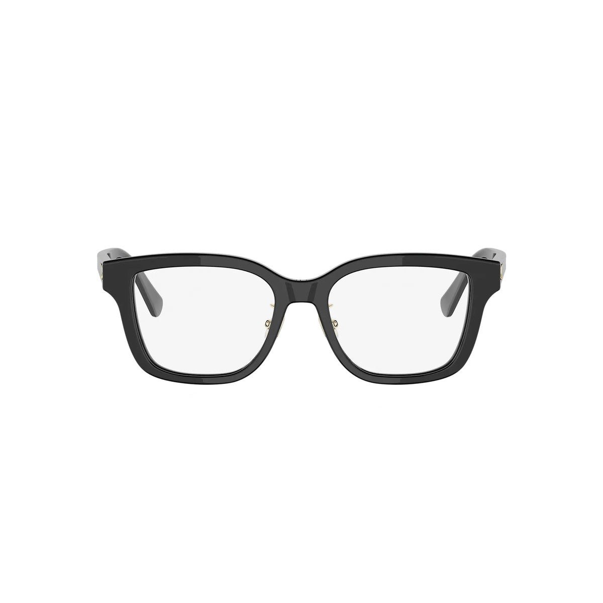 1000 - Acetate Shiny Black
